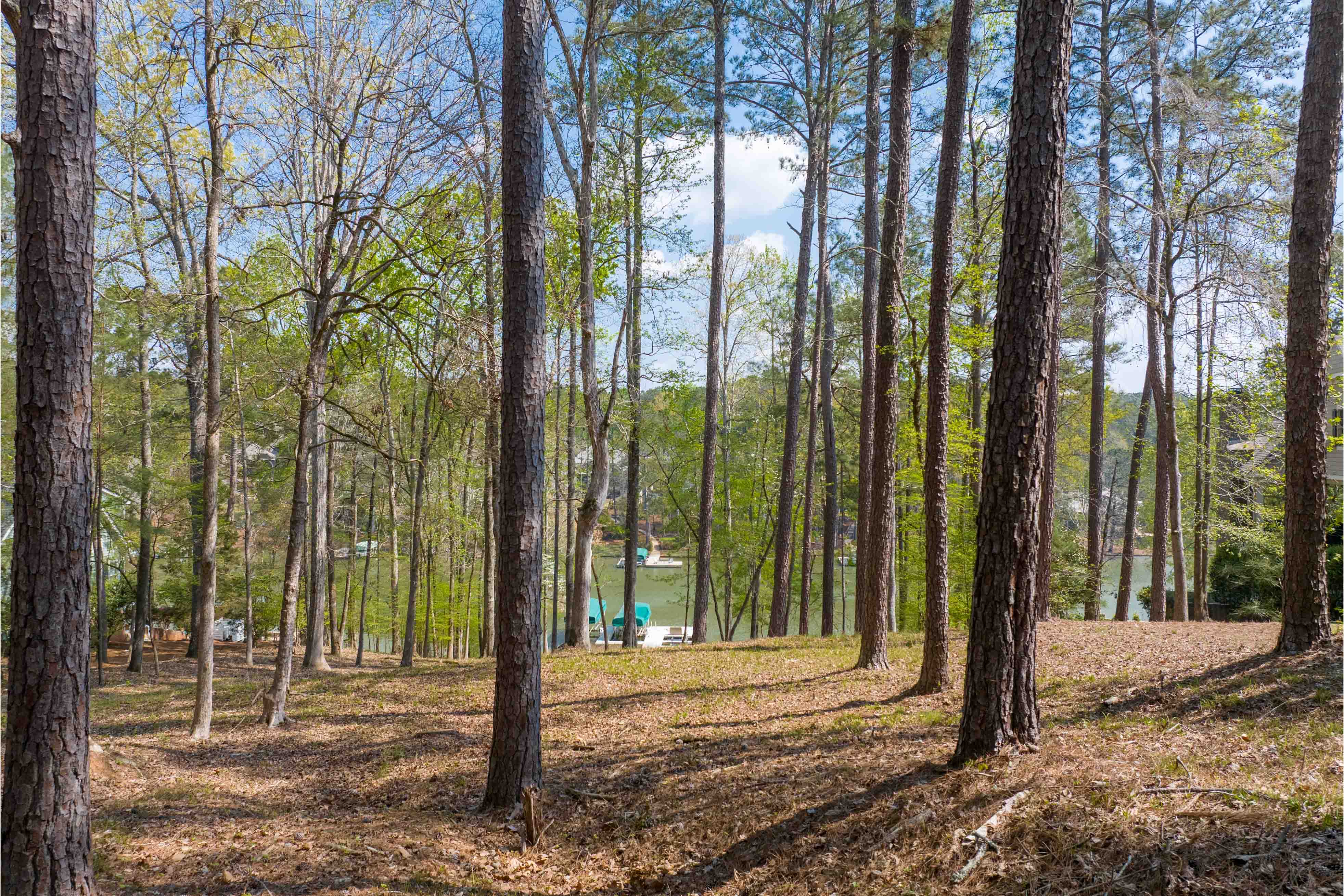 1161 Davison Drive image 6